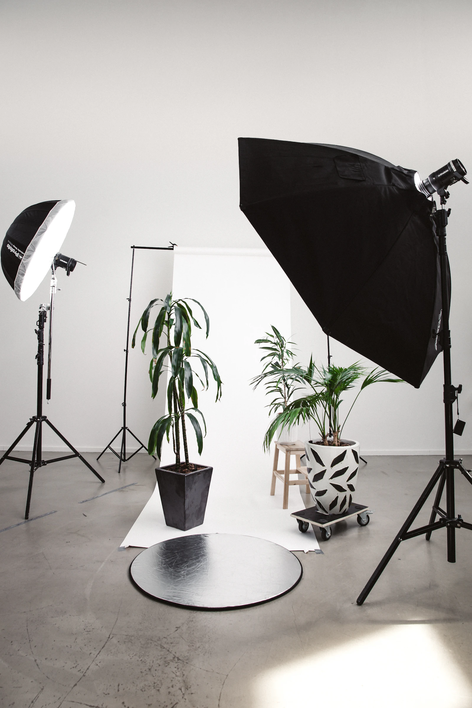 Fotografie in Wien, on location